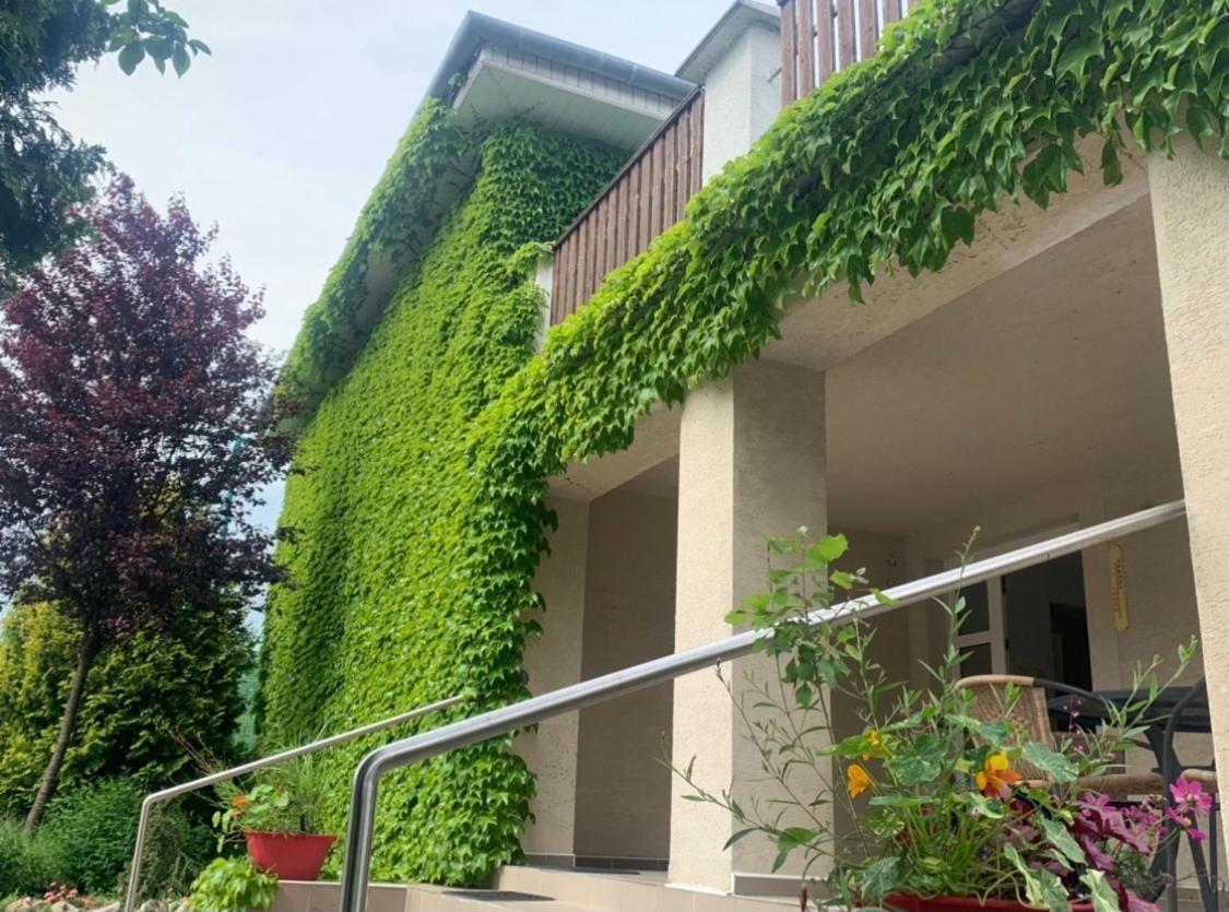 Hotel Dom V Zahrade Podhájska Exterior foto